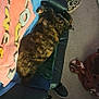 cat, tortoiseshell_cat, sleeping, chair, blanket, pillow, carpet, shoe, sock, indoor, home, cozy, furniture, patterned_blanket, relaxed, pet, fur, resting, colorful, casual
