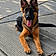 Anubis