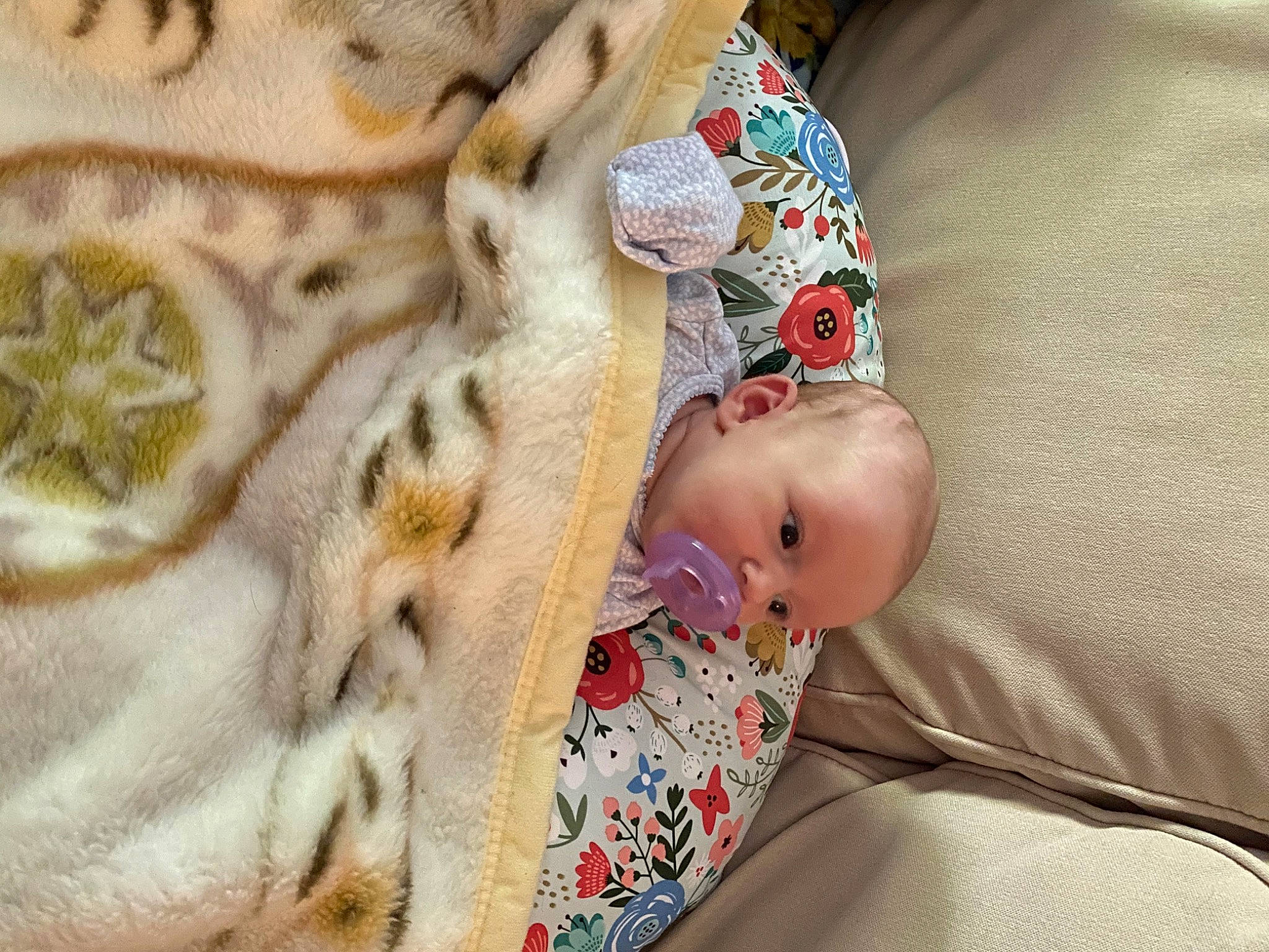 Marleigh joined the competition — help win amazing prizes! baby, baby_sleeping, blanket, child, fawn, fur, linens, nap, person, sleep, textile, toddler