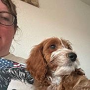 Howie is registered to the contest to win money with this photo: dog, person, glasses, brown, white, fur, portrait, indoor, wall, painting, tshirt, graphic, face, eyewear, curly_fur, pet, animal, closeup, companion, casual