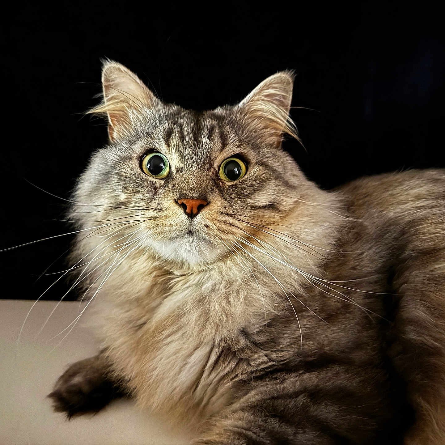 Tigrou