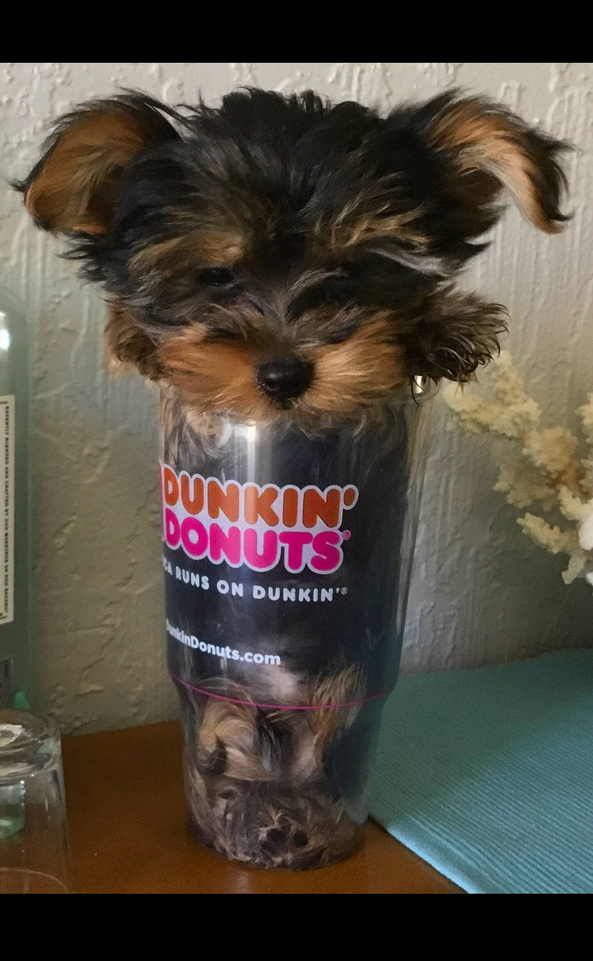 Dunkin
