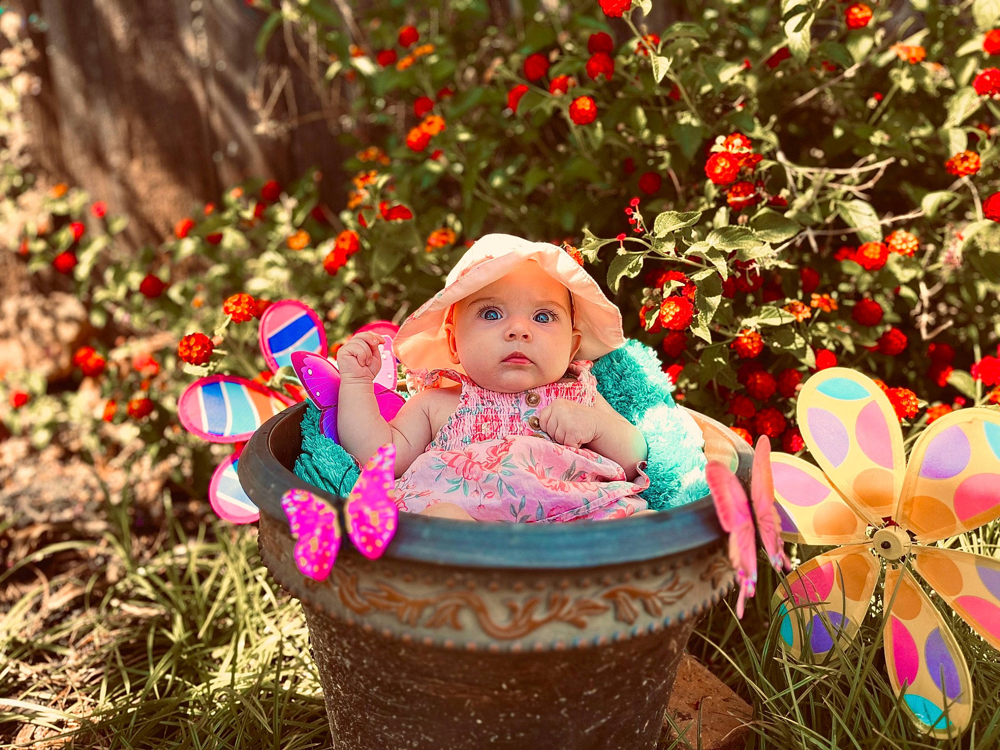 Novalynn joined the competition — help win amazing prizes! baby, doll, dress, event, flower, fun, garden, grass, happy, headwear, holiday, leaf, leisure, magenta, people_in_nature, person, petal, pink, plant, sitting