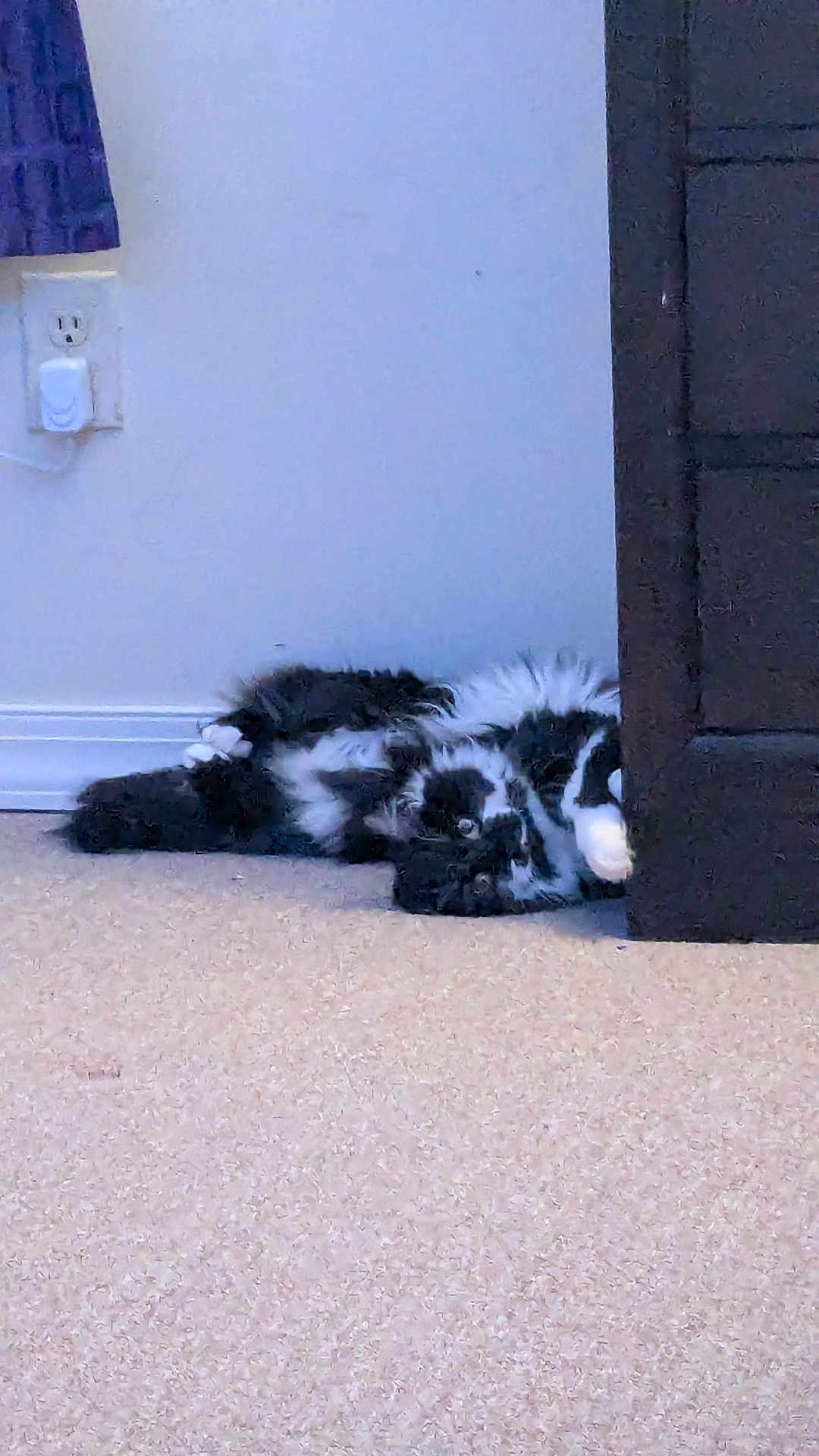 Marley