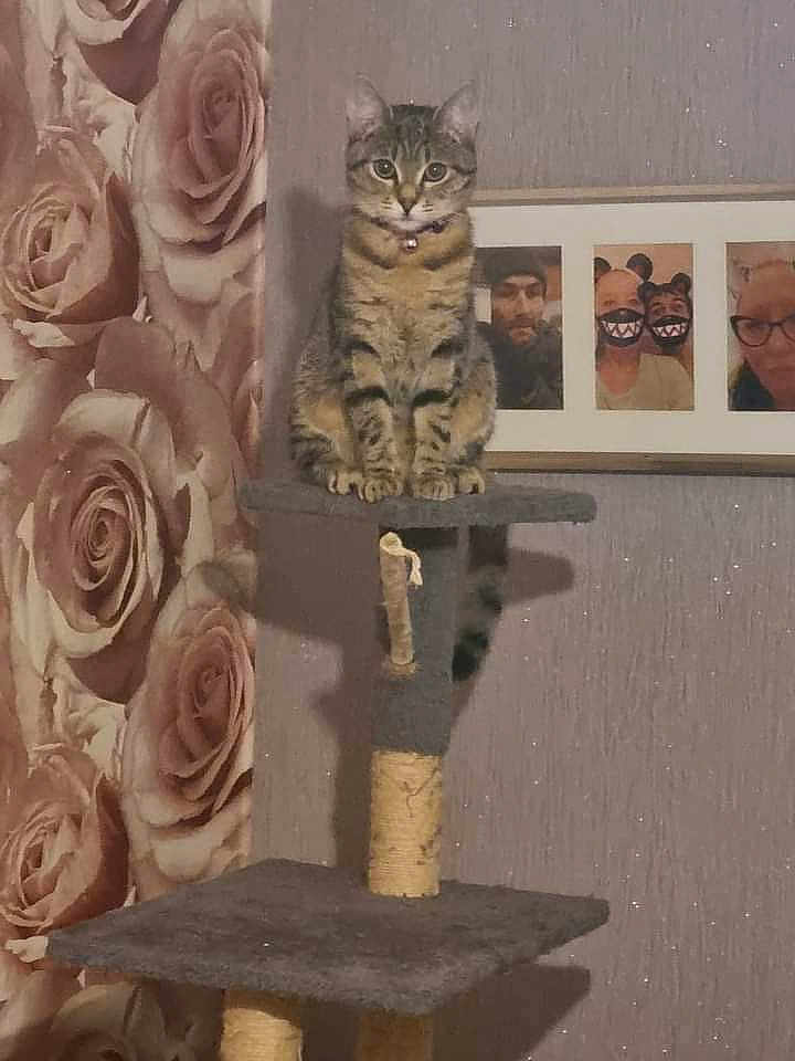 Tilly