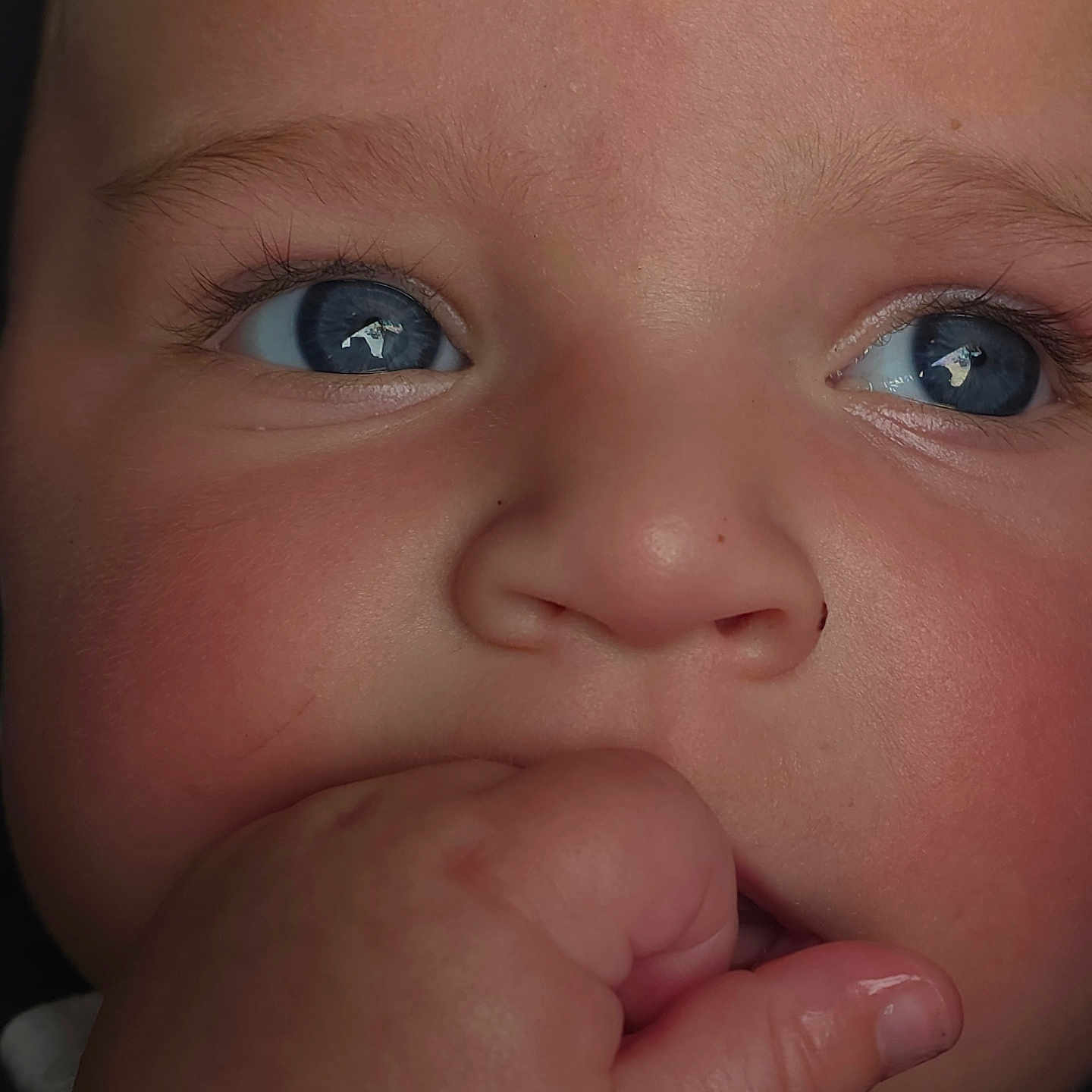 Dawson joined the competition — help win amazing prizes! baby, child, infant, face, portrait, close_up, blue_eyes, fist, hand, chewing, curious, wide_eyes, eyebrows, nose, mouth, skin, indoor, photography, adorable, head