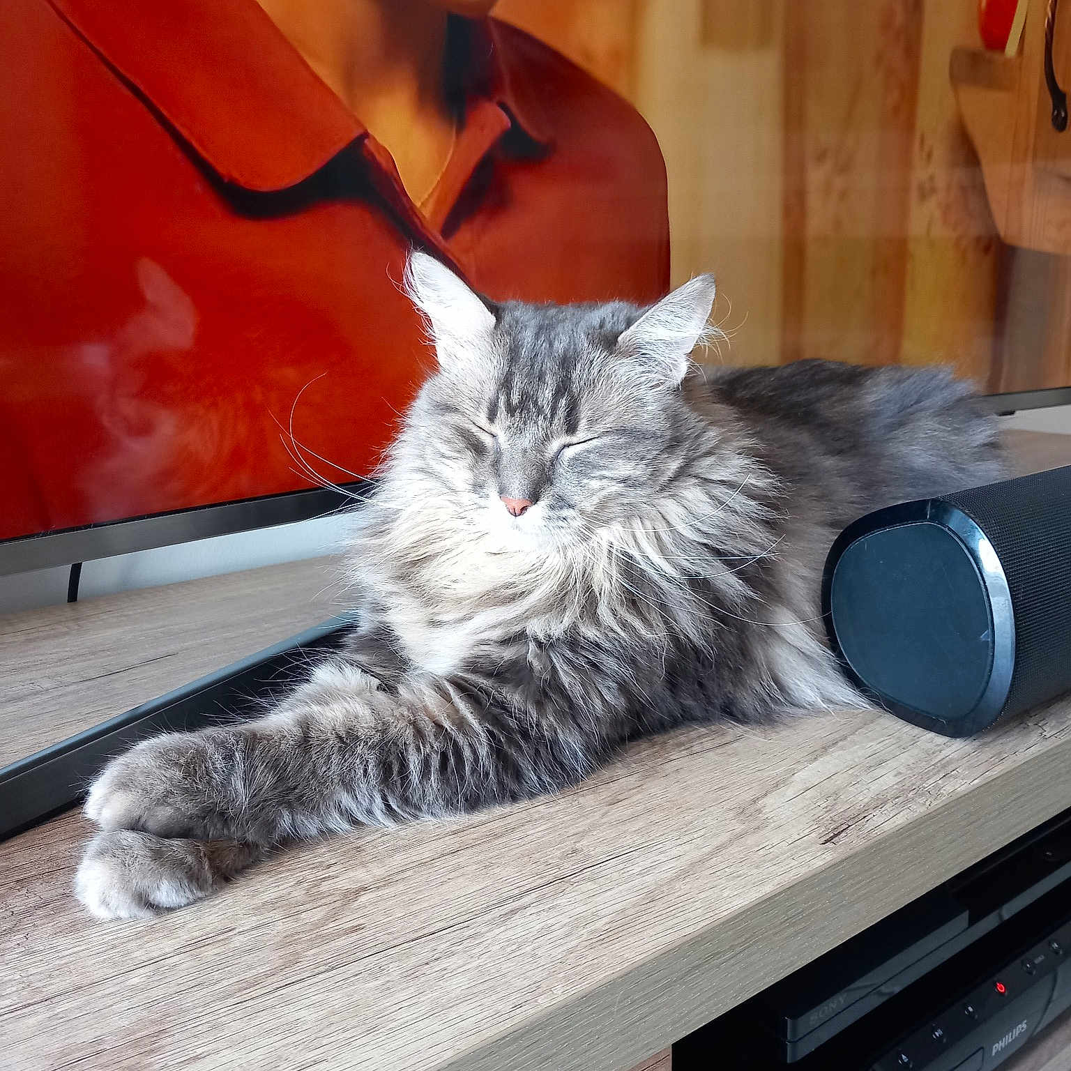 Souris