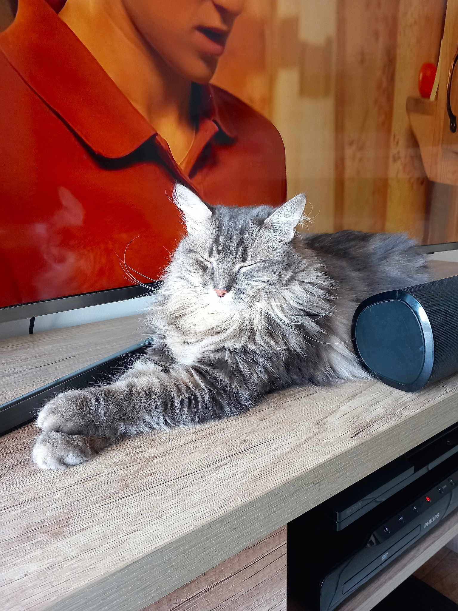 Souris