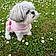 Jouflette