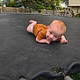 Kendan is registered to the contest to win money with this photo: baby, child, trampoline, outdoor, backyard, fence, grass, swing_set, person, face, curious, brown_clothing, infant, lawn, spring, playtime, smile, head, skin, photography
