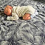 Prince joined the competition — help win amazing prizes! baby, sleeping, bed, blanket, pattern, onesie, mittens, infant, peaceful, cute, child, resting, soft, comfort, cozy, indoor, person, newborn, portrait, sleep