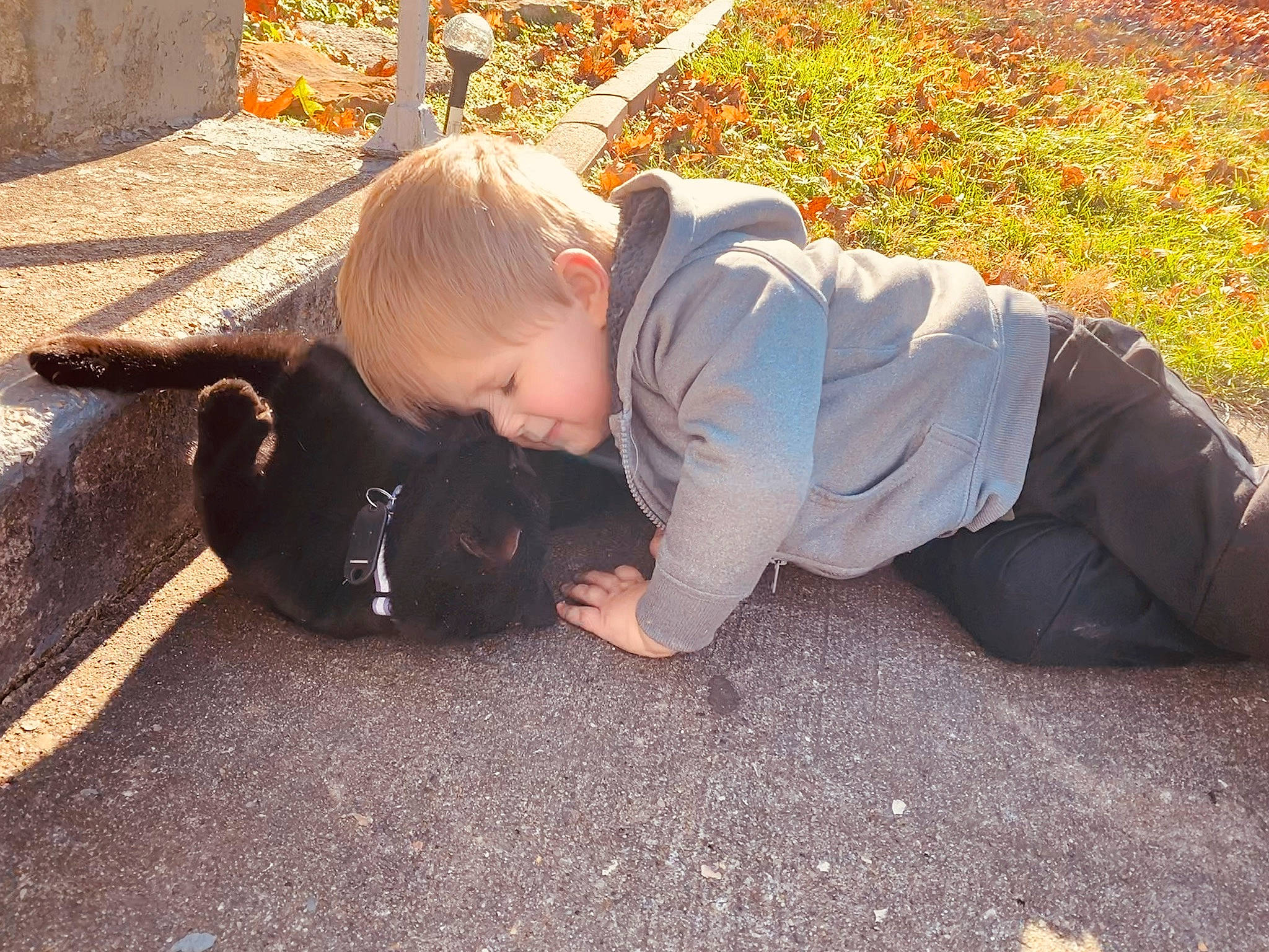 Zaiden joined the competition — help win amazing prizes! asphalt, baby, child, deciduous, flooring, fun, grass, hand, jeans, landscape, leisure, people_in_nature, person, plant, road_surface, sidewalk, sitting, soil, toddler, tree