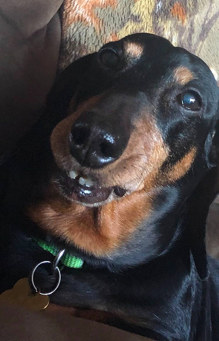 Oscar Meyer