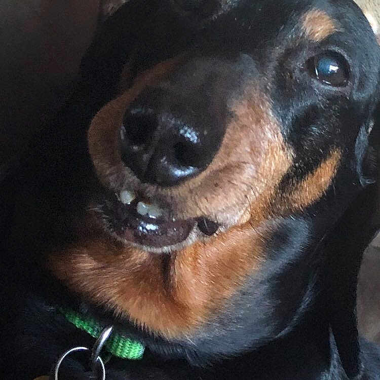 Oscar Meyer