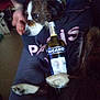Gucci participe au concours pour gagner de l'argent avec cette photo : dog, sunglasses, bottle, ricard, person, hand, clothing, sitting, indoor, brown, white, paw, glass, casual, relaxing, blurred, dim, candid, animal, pet