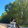 dog, border_collie, outdoor, sand, sunny, trees, greenery, blue_sky, nature, pet, animal, leash, resting, happy, tongue_out, fur, canine, daylight, smiling, park