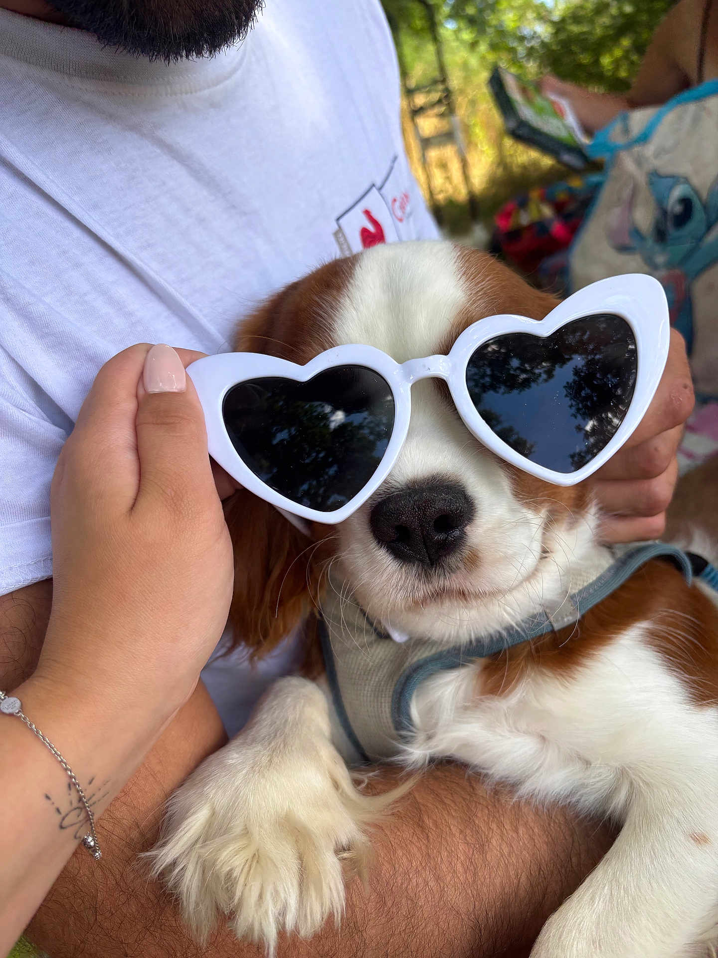 Vito
