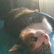 Nina participe au concours pour gagner de l'argent avec cette photo :