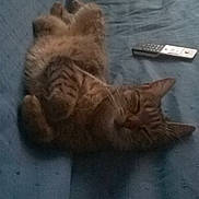 Nina a rejoint le concours — aidez-le/la à gagner de superbes lots !