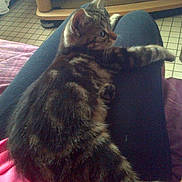 Kate a rejoint le concours — aidez-le/la à gagner de superbes lots !