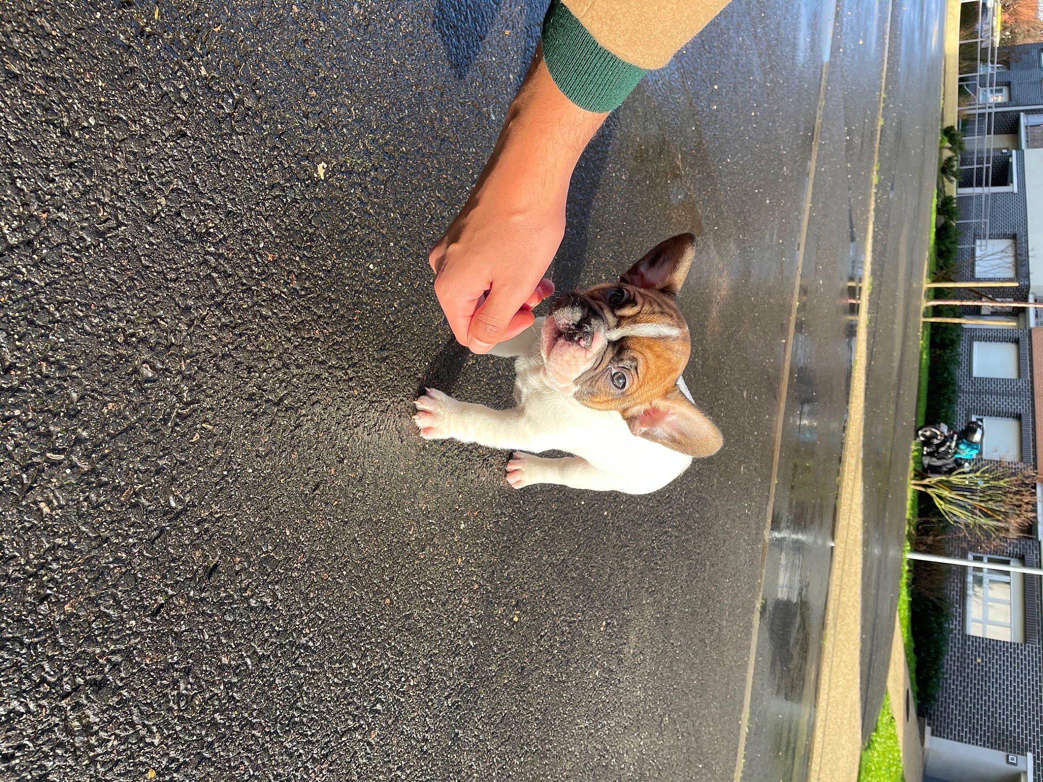 Booba participe au concours pour gagner de l'argent avec cette photo : asphalt, barefoot, calf, city, dress, foot, fun, human_leg, knee, leg, leisure, pedestrian, recreation, road_surface, sandal, sidewalk, soil, thigh, toe, tree