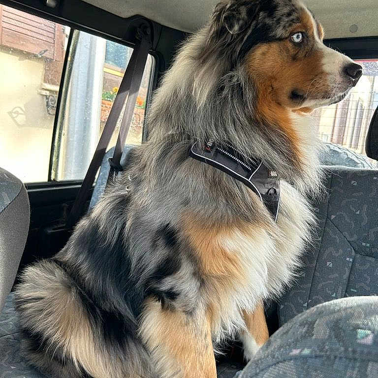 Sam