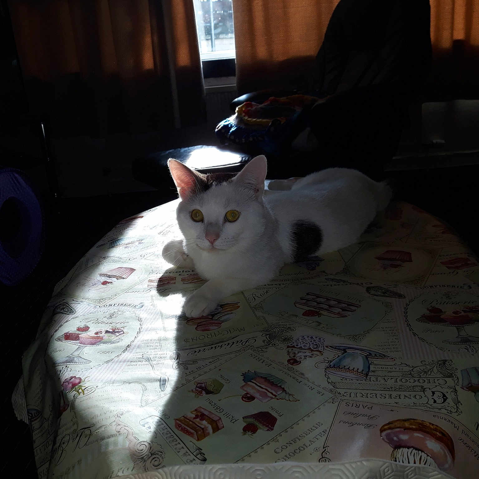 Coda