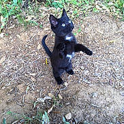 Kenya a rejoint le concours — aidez-le/la à gagner de superbes lots !