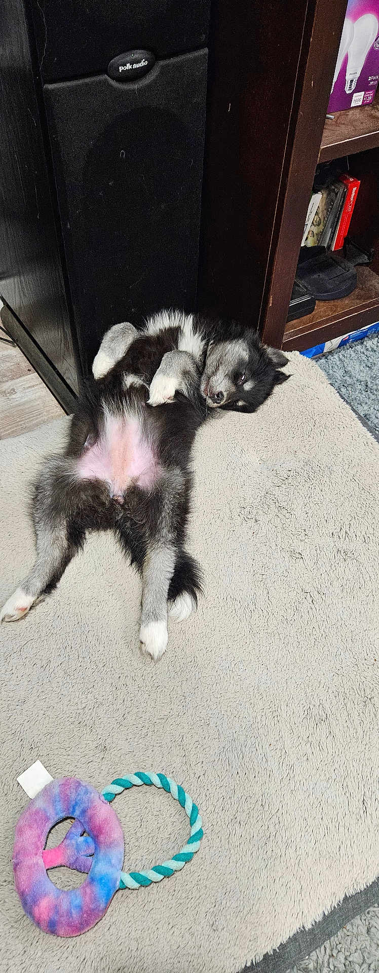 Freya