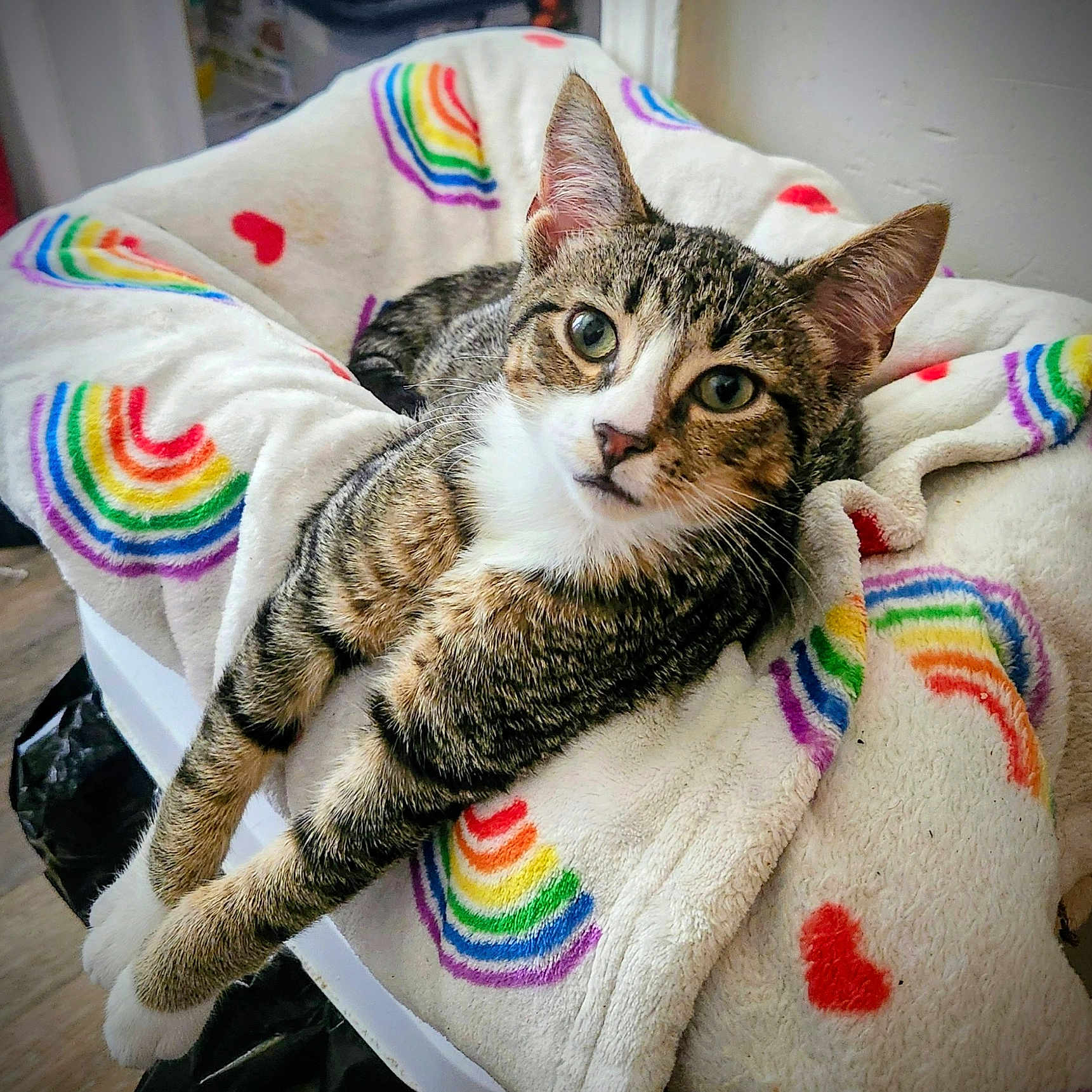 Baby Boo