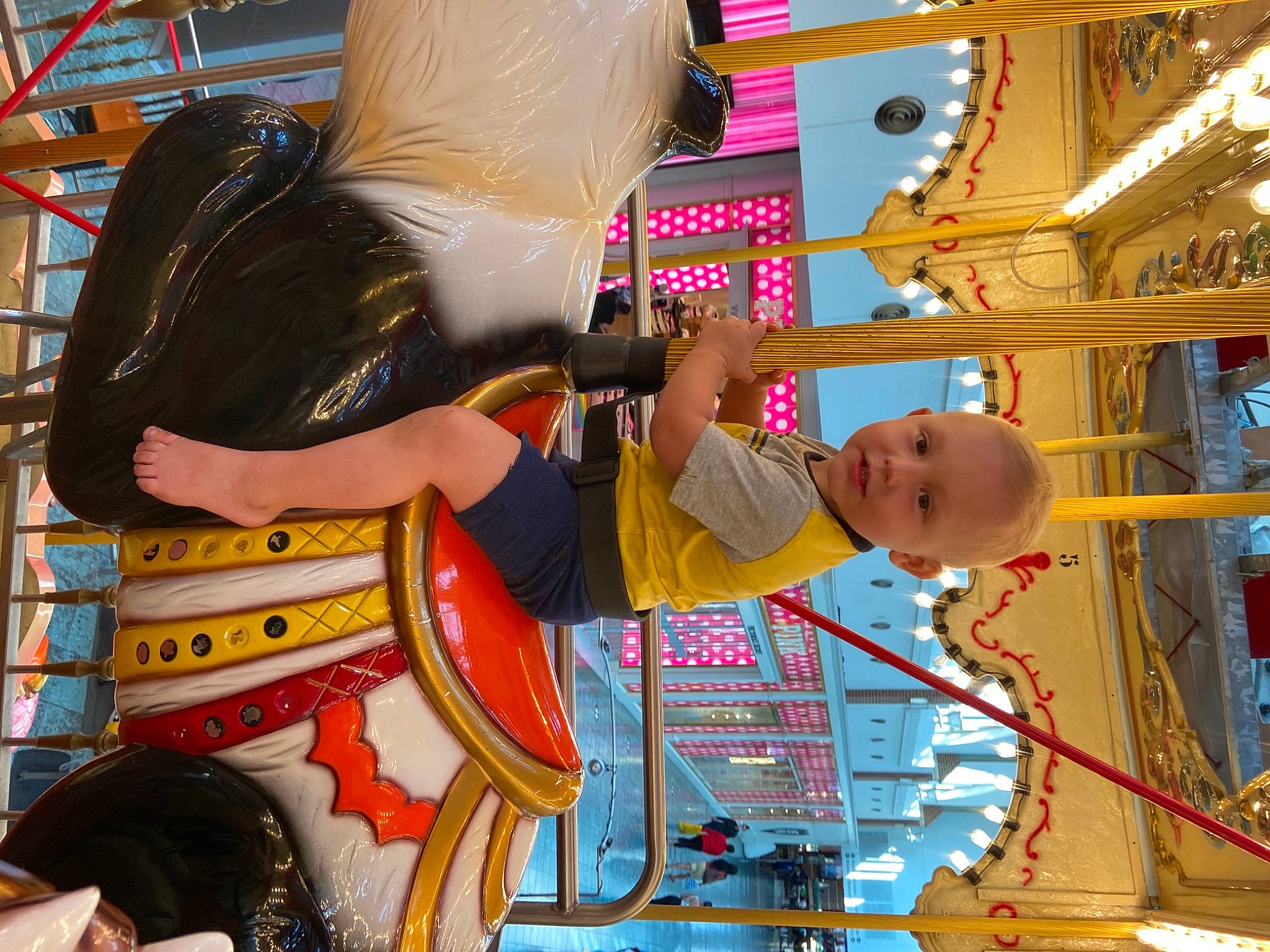 Jaxon joined the competition — help win amazing prizes! amusement_park, amusement_ride, artist, child, city, customer, event, fair, fun, games, leisure, musical_instrument, nonbuilding_structure, person, play, recreation, retail, room, temple, vacation