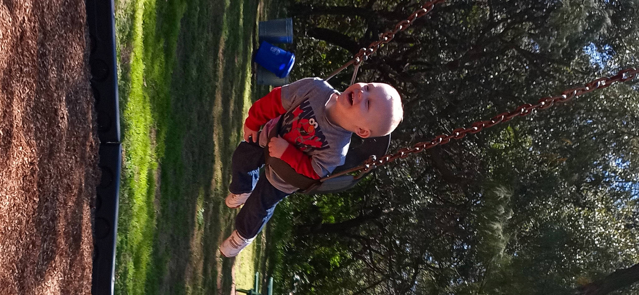 Jaxon joined the competition — help win amazing prizes! branch, forest, fun, grass, happy, leisure, natural_environment, people_in_nature, person, plant, recreation, rock_climbing_equipment, rope, sports, spring, toddler, tree, trunk, twig, wilderness