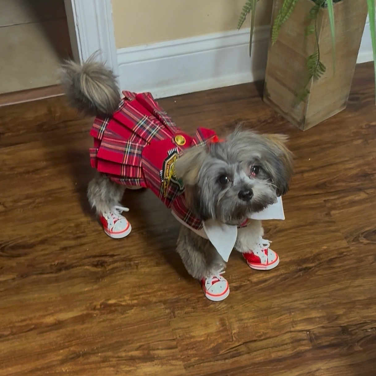Coco