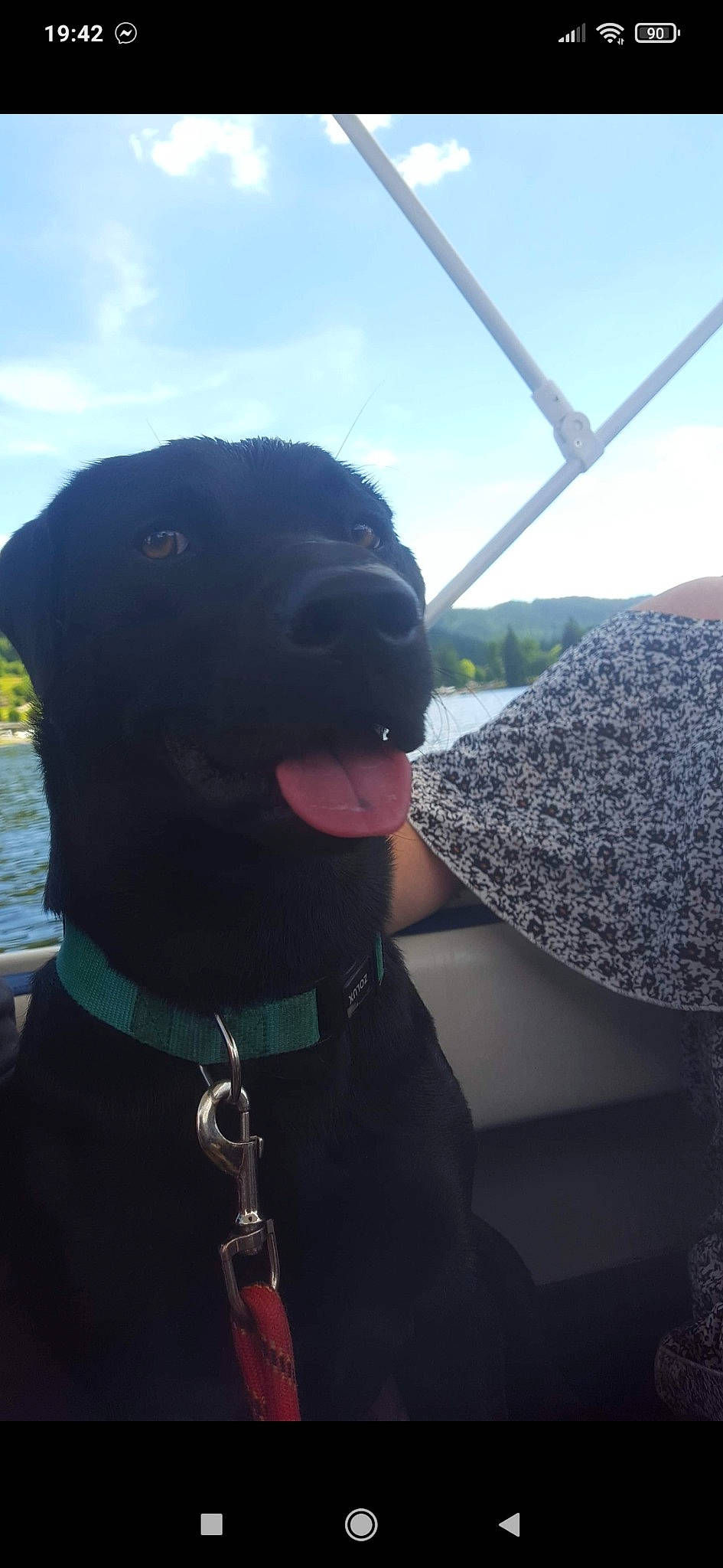 Lasco participe au concours pour gagner de l'argent avec cette photo : borador, canidae, carnivore, cloud, collar, comfort, companion_dog, dog, dog_breed, dog_collar, guard_dog, pet_supply, selfie, sky, smile, snout, sporting_group, water, working_animal, working_dog