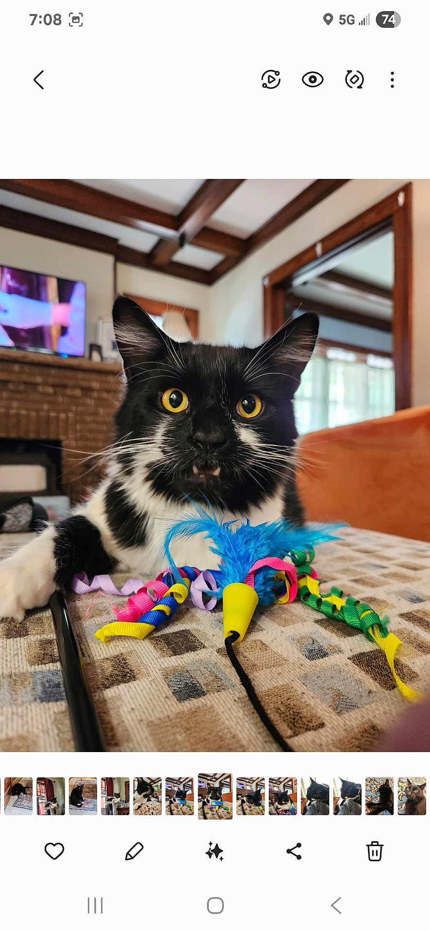 Lizo joined the competition — help win amazing prizes! cat, black_and_white, yellow_eyes, feather_toy, colorful_ribbons, curious, indoor, living_room, fireplace, wooden_beams, patterned_surface, pet, playful, feline, close_up, whiskers, ears, fur, home, cozy
