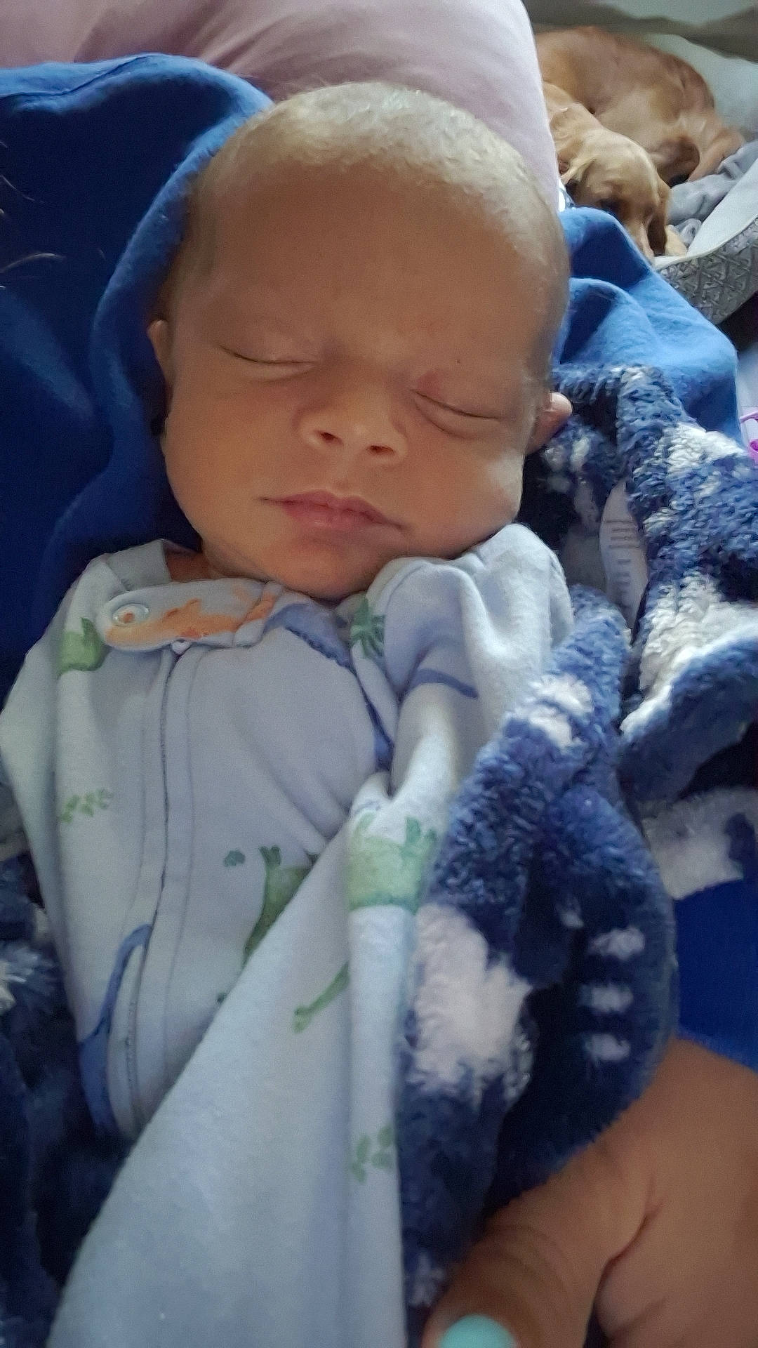 Merritt joined the competition — help win amazing prizes! baby, blanket, blue, closeup, clothing, comfort, cozy, dog, family, hand, indoors, infant, nail_polish, newborn, peaceful, pet, portrait, rest, sleeping, soft