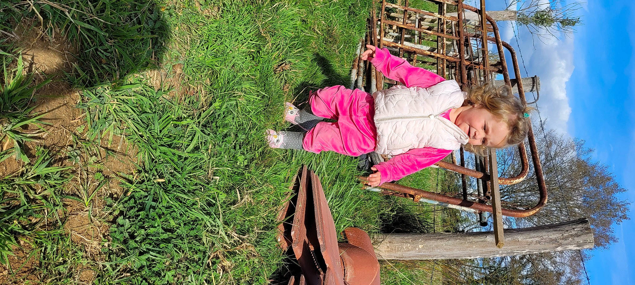 Néhémie participe au concours pour gagner de l'argent avec cette photo : child, fun, grass, groundcover, happy, leisure, outdoor_play_equipment, outdoor_shoe, people_in_nature, person, plant, recreation, shrub, smile, soil, toddler, tree
