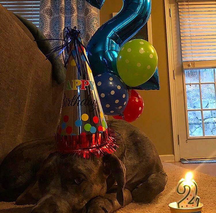 Beasley joined the competition — help win amazing prizes! balloon, party_supply