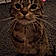 Minette