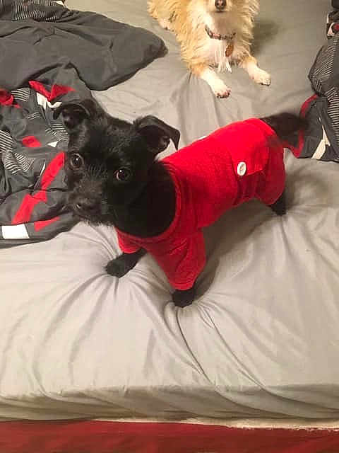 Kodak
