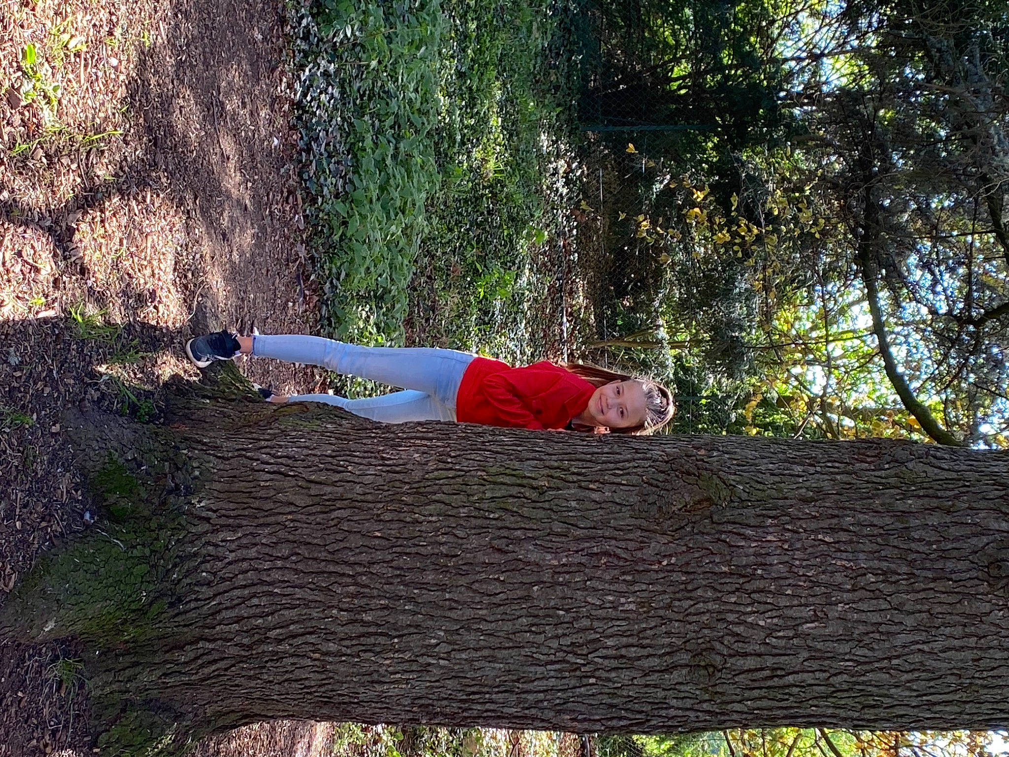 Cucerovschii participe au concours pour gagner de l'argent avec cette photo : biome, botany, forest, grass, groundcover, headwear, joy, landscape, leisure, natural_landscape, nature, people_in_nature, person, plant, shadow, shrub, soil, tints_and_shades, tree, trunk