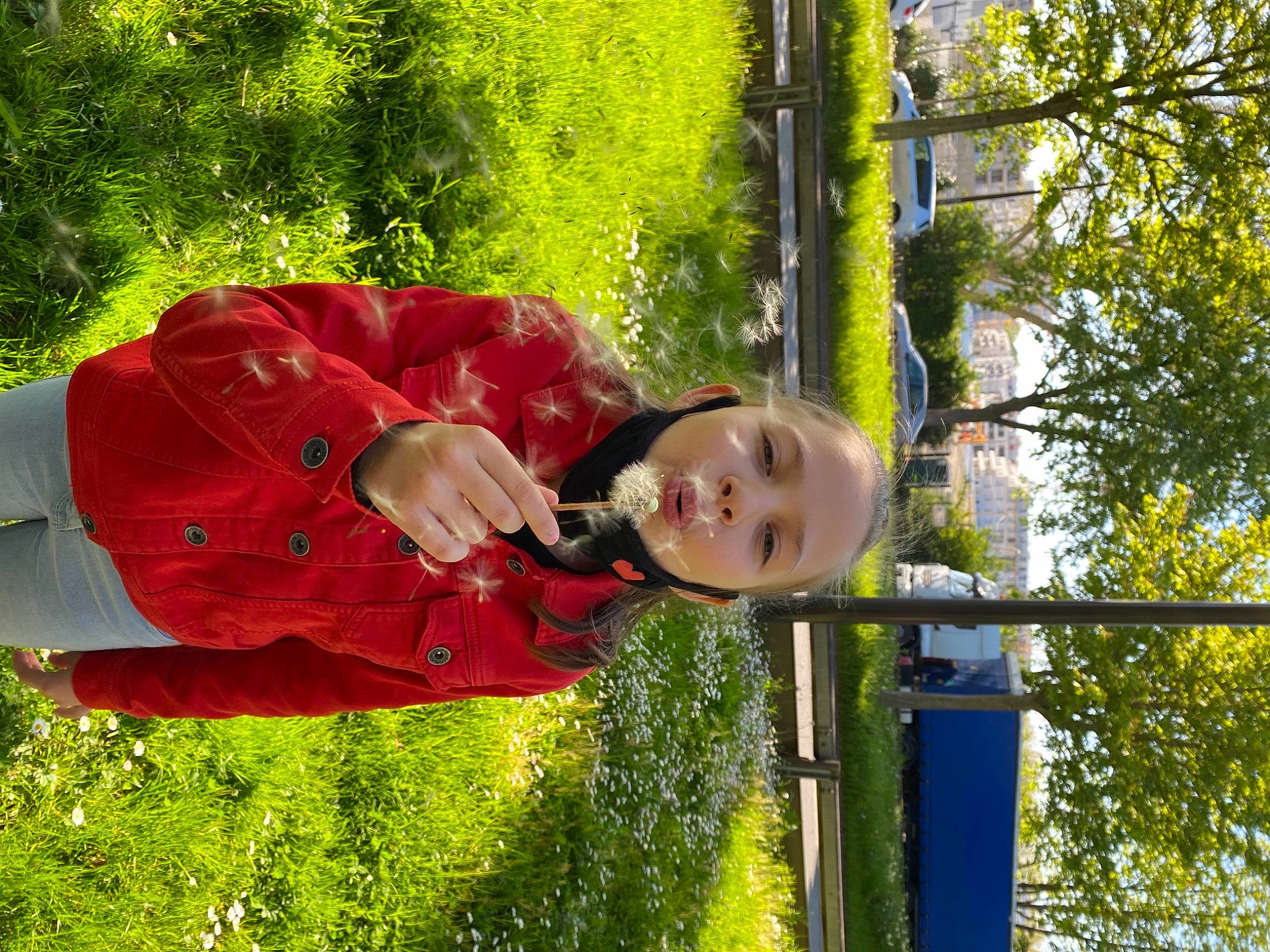 Cucerovschii participe au concours pour gagner de l'argent avec cette photo : botany, carmine, coquelicot, fashion_accessory, fun, garden, grass, happy, leisure, magenta, people_in_nature, person, petal, plant, recreation, smile, toddler, tree, woody_plant, yellow