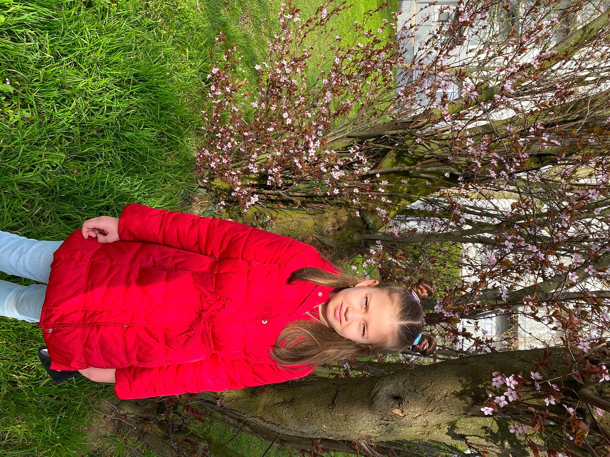 Cucerovschii participe au concours pour gagner de l'argent avec cette photo : blossom, botany, deciduous, fun, garden, grass, groundcover, happy, leaf, leisure, magenta, natural_landscape, people_in_nature, person, plant, shrub, spring, tints_and_shades, tree, trunk