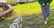 Gator joined the competition — help win amazing prizes! child, dog, leash, cone, grass, backyard, barefoot, hoodie, playful, smiling, pet, outdoor, furniture, grill, adventure, sunlight, casual, happy, young, nature