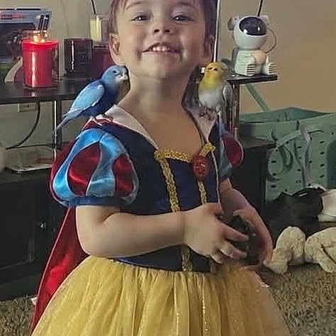 Nova is registered to the contest to win money with this photo: child, smiling, dress, costume, snow_white, bird, blue_bird, yellow_bird, indoor, candle, toy, carpet, furniture, happy, girl, portrait, cute, playful, animal, pet