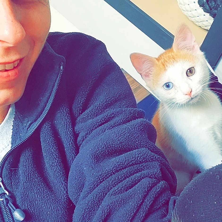Tinou