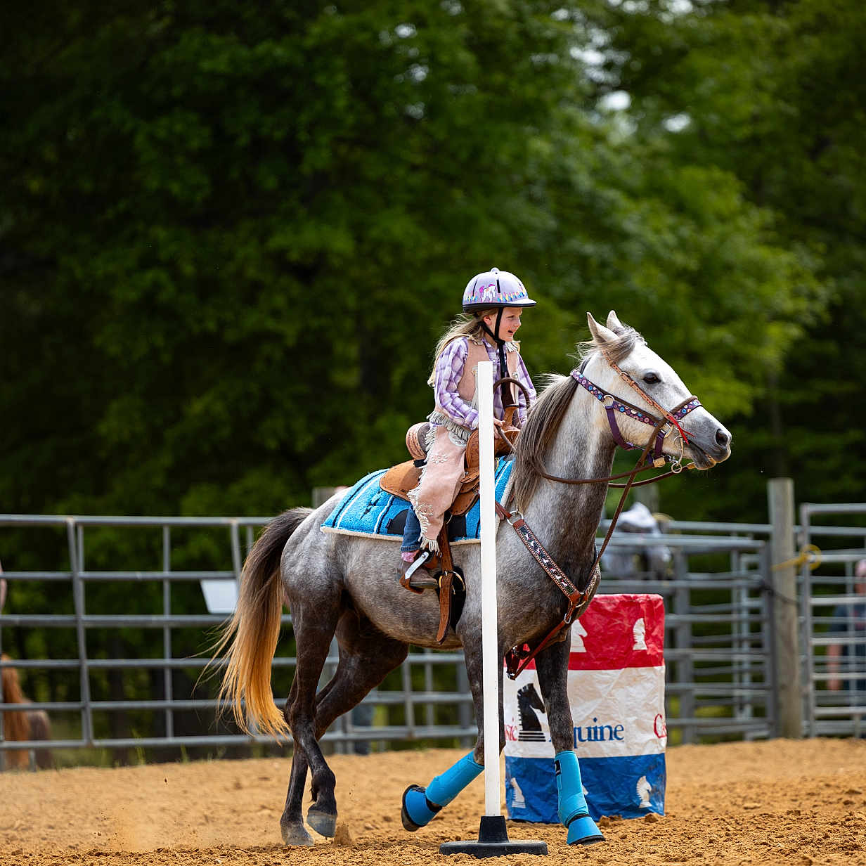 Abby is registered to the contest to win money with this photo: andalusianhorse, animal, canine, child, clothing, colthorse, dog, equestrian, female, girl, hat, helmet, horse, horsebackriding, leisureactivities, people, person, pet, polo, rodeo