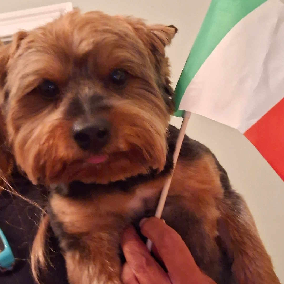 Gio