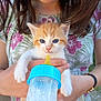 Baloo participe au concours pour gagner de l'argent avec cette photo : kitten, cat, baby_animal, bottle_feeding, person, hand, floral_shirt, blue_eyes, orange_and_white_cat, young_animal, pet_care, feeding, outdoor, close_up, cute, animal_love, domestic_animal, human_interaction, small_animal, nurturing