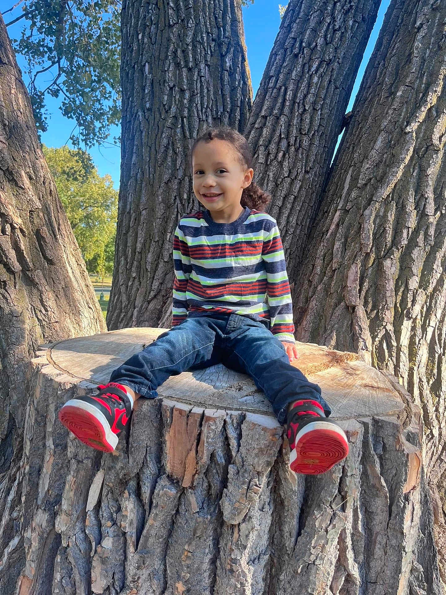 Kameron joined the competition — help win amazing prizes! child, smiling, tree_stump, tree_bark, outdoor, nature, blue_sky, striped_shirt, jeans, sneakers, red_shoes, casual_clothing, sunlight, daylight, park, happy, sitting, person, young_child, playful